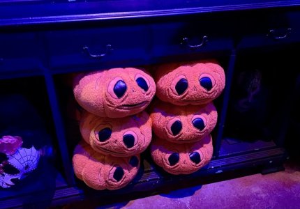 IMG_1105.jpeg