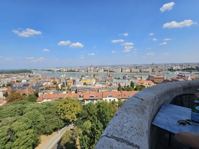 20240904_134353.jpg