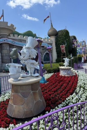IMG_6333.jpeg