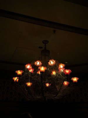 IMG_6400.jpeg