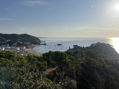 IMG_6177.jpeg