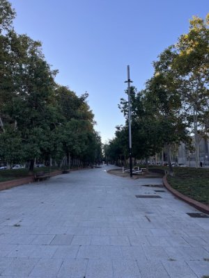 IMG_6229.jpeg