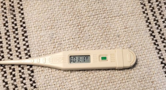 20240916_221819.jpg