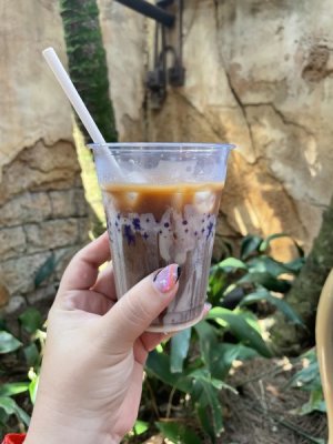 IMG_0532.jpeg