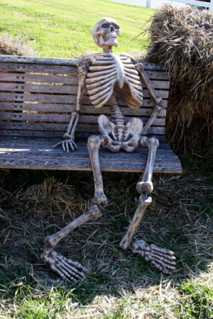 1726586847866.png
