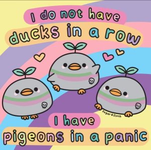 IMG_3841.jpeg