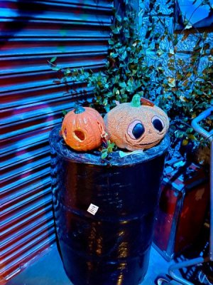 IMG_1125.jpeg