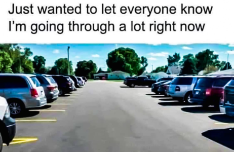 1726627467223.png
