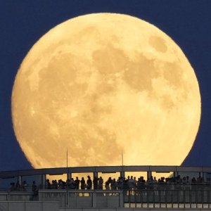 Harvest Moon Japan Sept172024.jpg