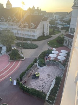 IMG_6743.jpeg
