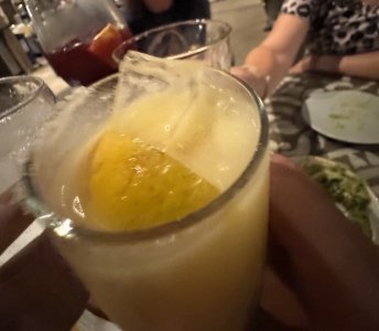 IMG_2834.jpeg