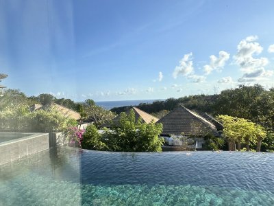IMG_3375.jpeg