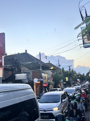 IMG_1771.jpeg