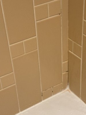 IMG_2810.jpeg