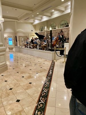 IMG_0184.jpeg
