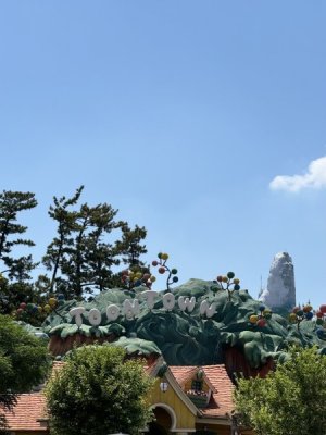 IMG_6438.jpeg