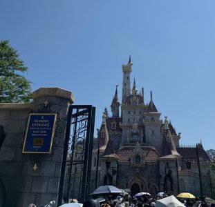IMG_6460.jpeg