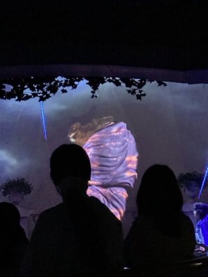 IMG_6511.jpeg