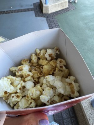 IMG_6549.jpeg