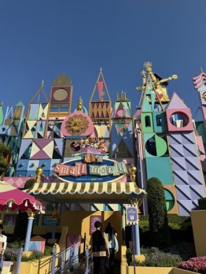 IMG_6561.jpeg