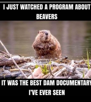 1727016404751.png