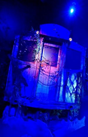 IMG_1155.jpeg