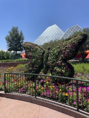 IMG_9926.JPG