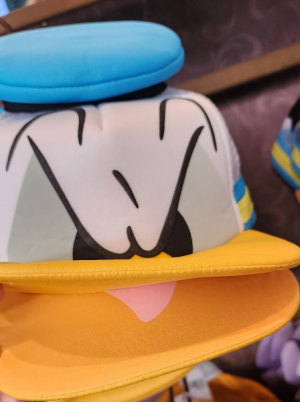 1727045419941.png
