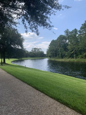 IMG_6334.JPEG