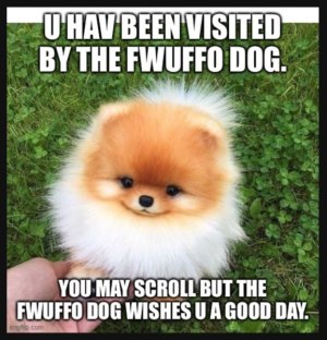 IMG_1331.jpeg