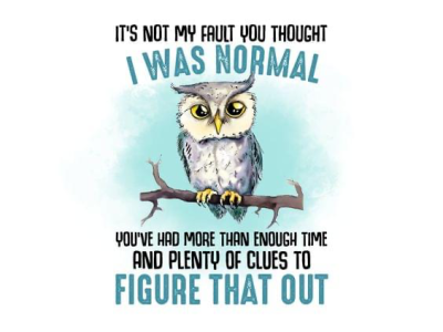1727055274567.png
