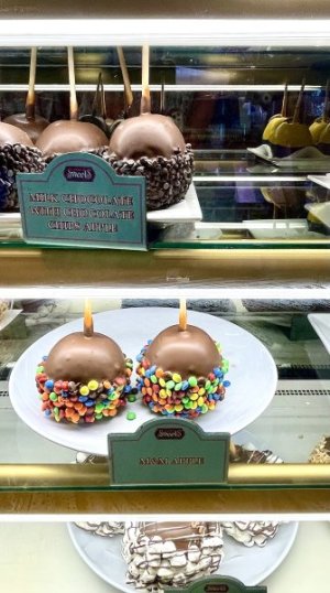 IMG_1177.jpeg