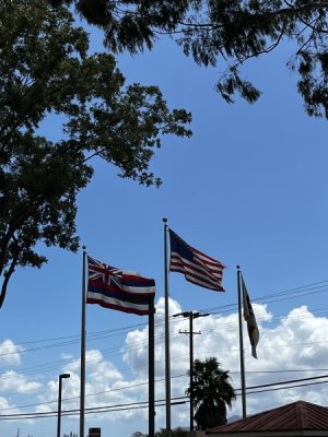 IMG_5036.jpeg