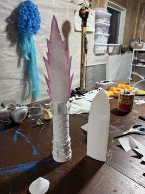 thumbnail_IMG_8207.jpg
