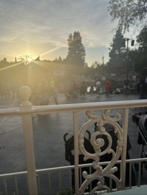 IMG_3764.jpeg
