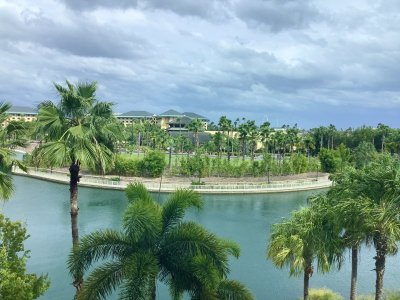 IMG_3768.jpeg