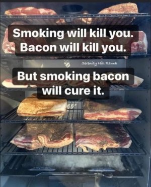meme bacon cure.jpg