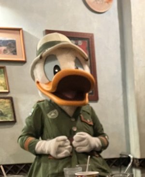 Donald Duck.jpg