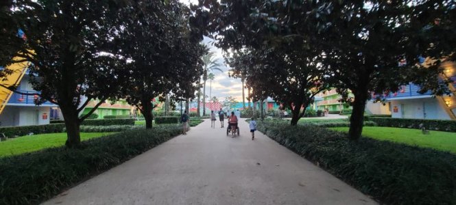 20240917_072049.jpg