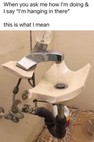 IMG_3260.jpeg