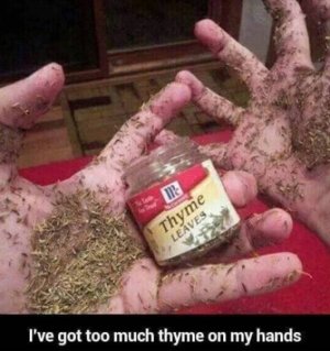 Image 2.jpeg