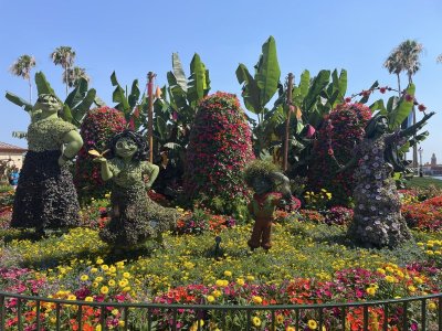 IMG_9994.JPG