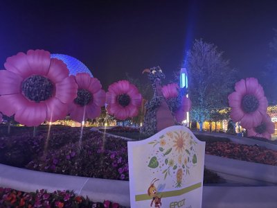 IMG_0105.JPG