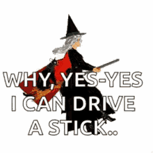 IMG_4329.gif