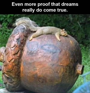 1727623977236.png
