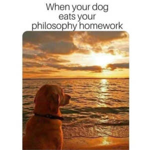 1727655351571.png