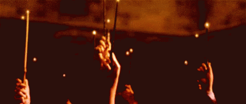 IMG_2487.gif