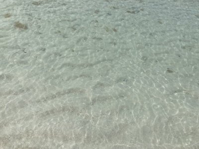 IMG_4763.jpeg