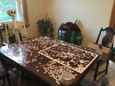 IMG_0387.jpeg