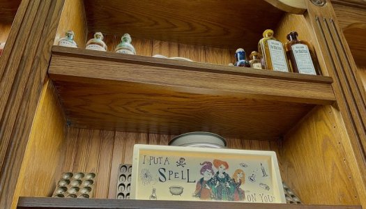 IMG_1368.jpeg